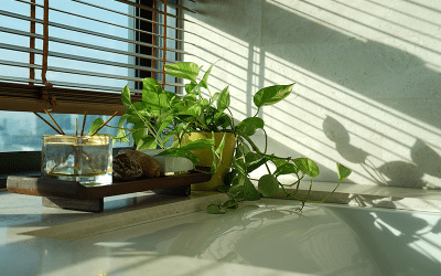 Are Energy Efficient Windows Worth the Investment?