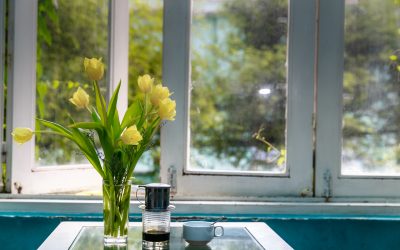 How Do You Know If It Is Time To Replace Your Windows?