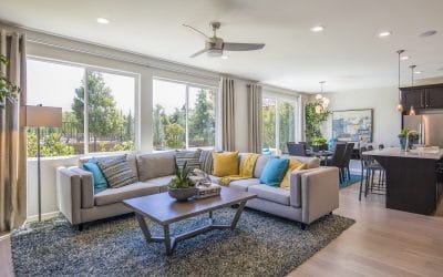 Understanding the Window Installation Process