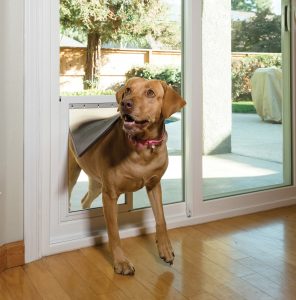 Anlin's Freedom+ In-Glass Pet Door | American Windows of DFW