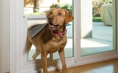 How Do You Handle Pets and Sliding Glass Patio Doors?